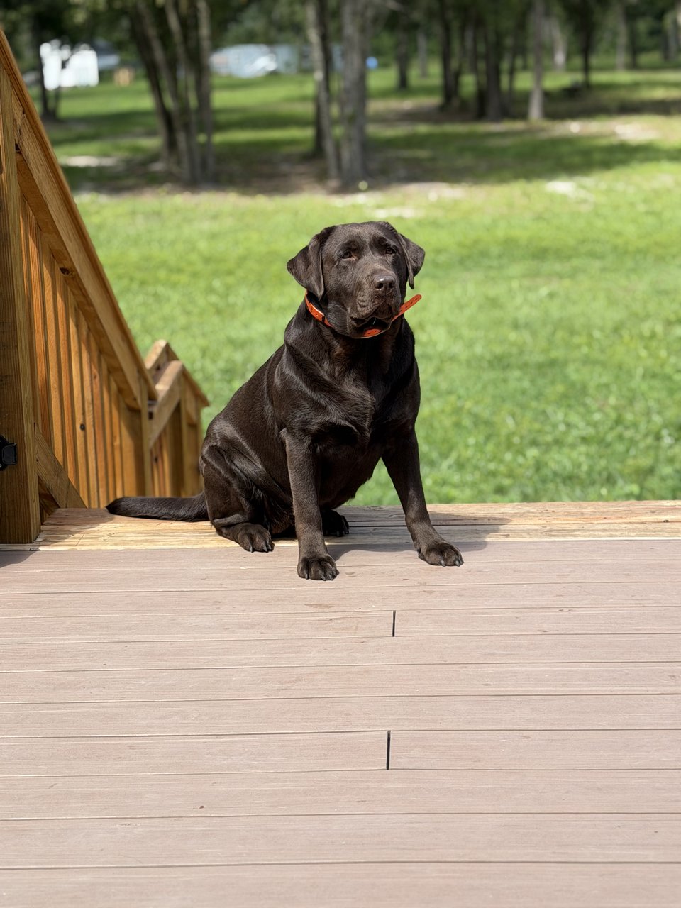 Kahlua — Details coming soon