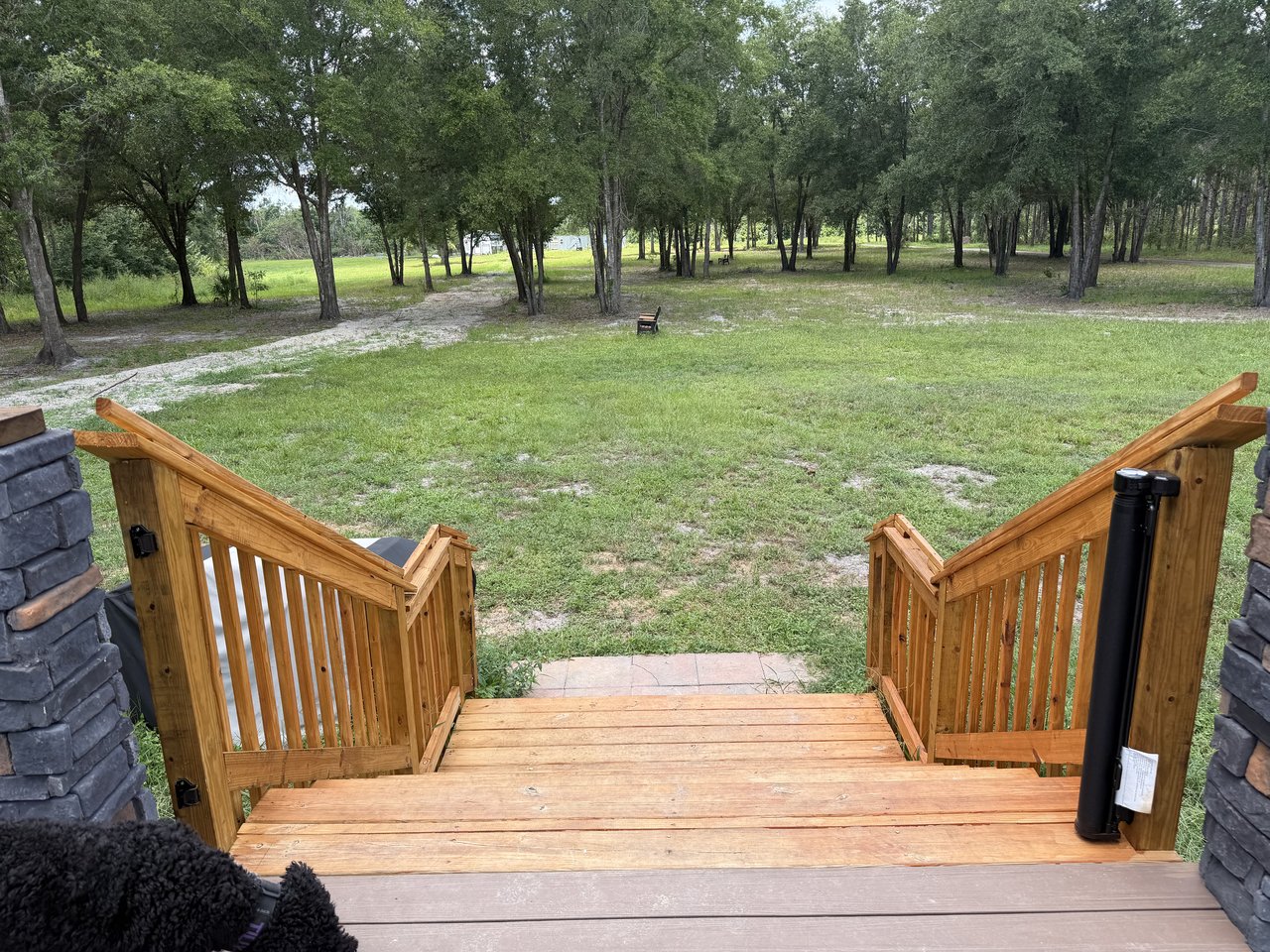View across the pasture at Emery Ranch
